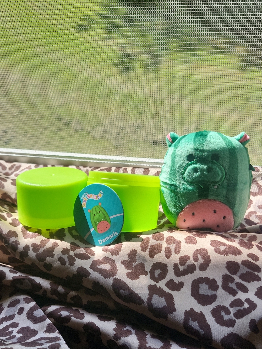 Squishmallows Micromallows 2.5 inch Damaris Watermelon Hippo ☆New☆